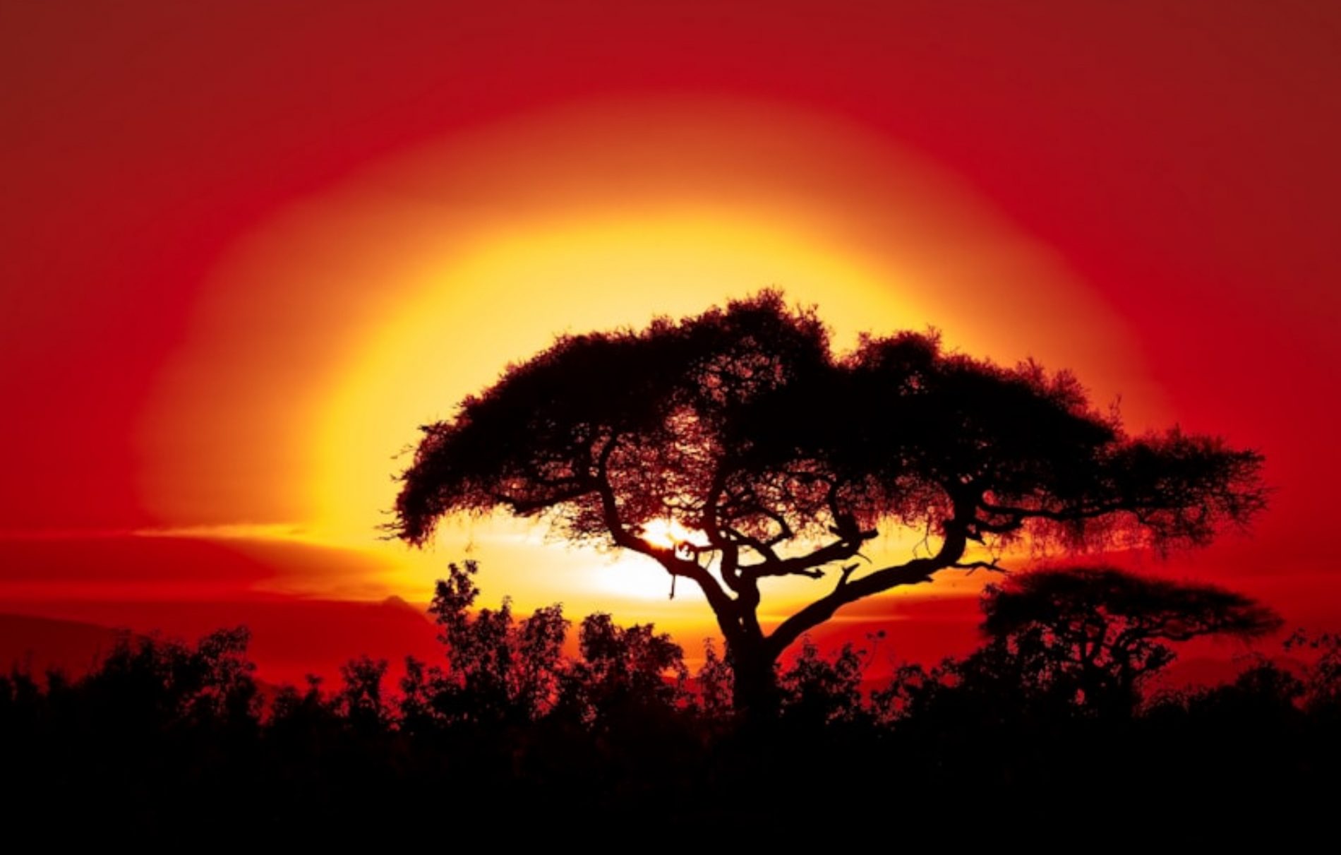  Prisni që shpirti juaj të vijë tek ju   Një rrëfim i bukur dhe kuptimplotë